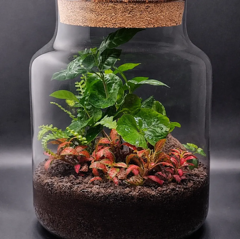 Pflanzenterrarium in einem Glasbehälter.