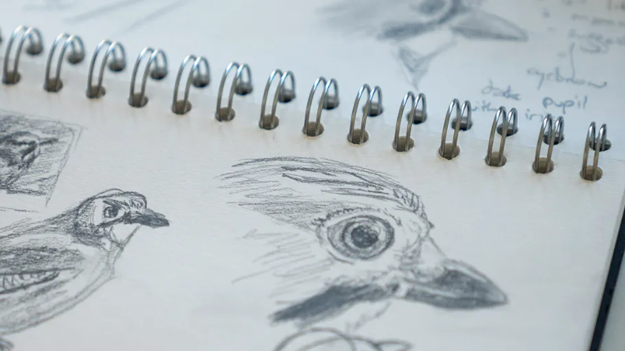 Sketches of bird heads in spiral notebook.