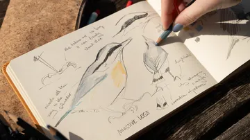 Hand sketching birds in a notebook outdoors.