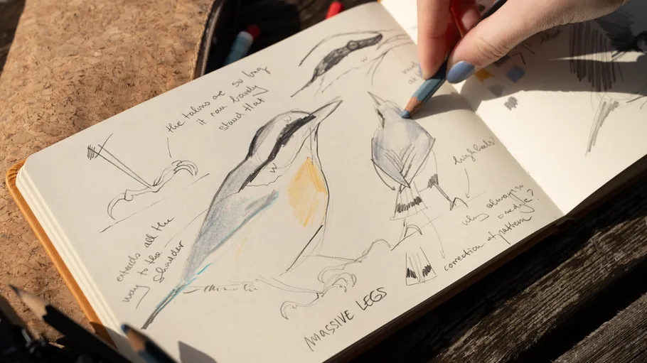 Hand sketching birds in a notebook outdoors.