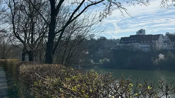 Fluss mit Bäumen und fernen Gebäuden.