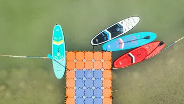Four paddleboards tied to a floating dock.