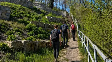 Drei Wanderer steigen Steinstufen im Park hinauf.