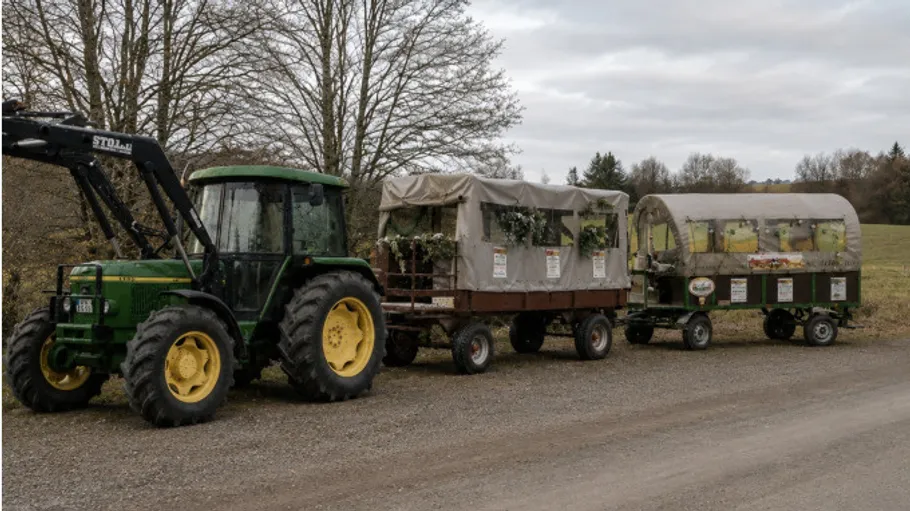 Traktor zieht zwei Planwagen auf Straße.