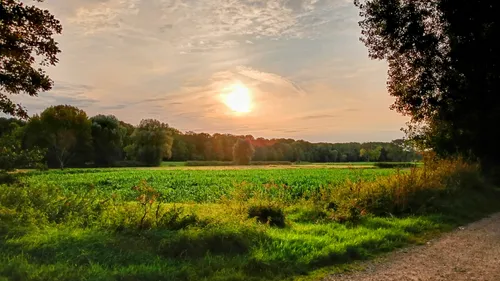 Sonnenuntergang über einem grünen Feld und Wald.