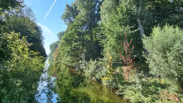 Trees reflecting in a calm, narrow river.