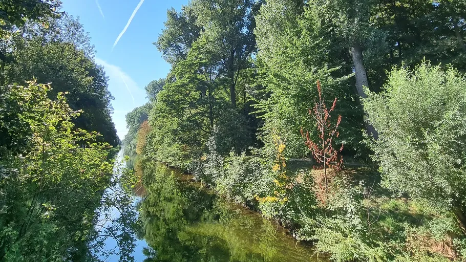 Trees reflecting in a calm, narrow river.