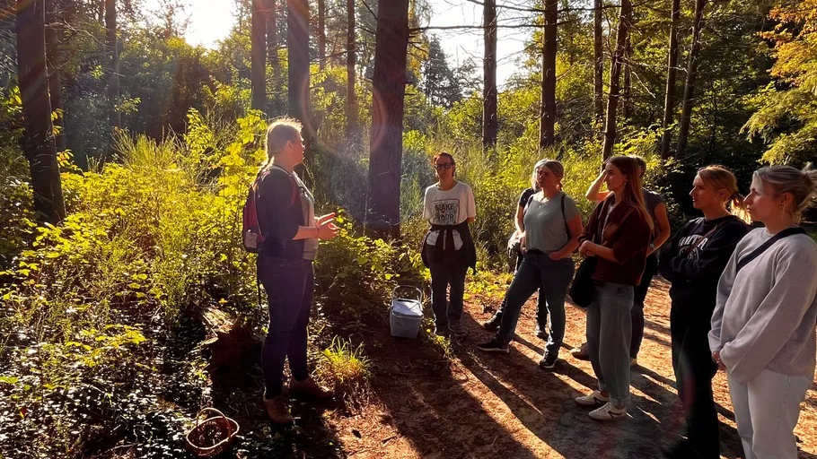 Person explaining to group in sunny forest.