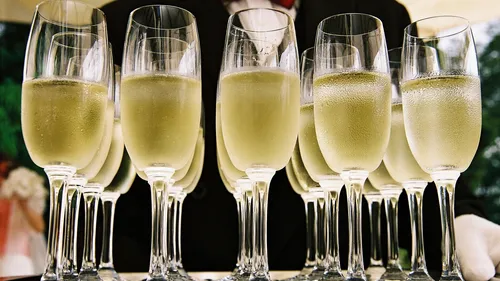 Champagne glasses lined on a tray.