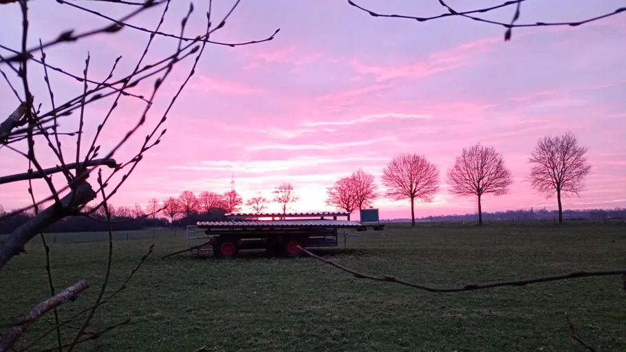 Anhänger auf Feld mit pinkem Sonnenuntergangshimmel.