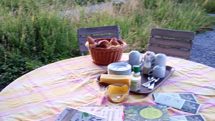 Gedeckter Tisch im Freien mit Snacks und Getränken.