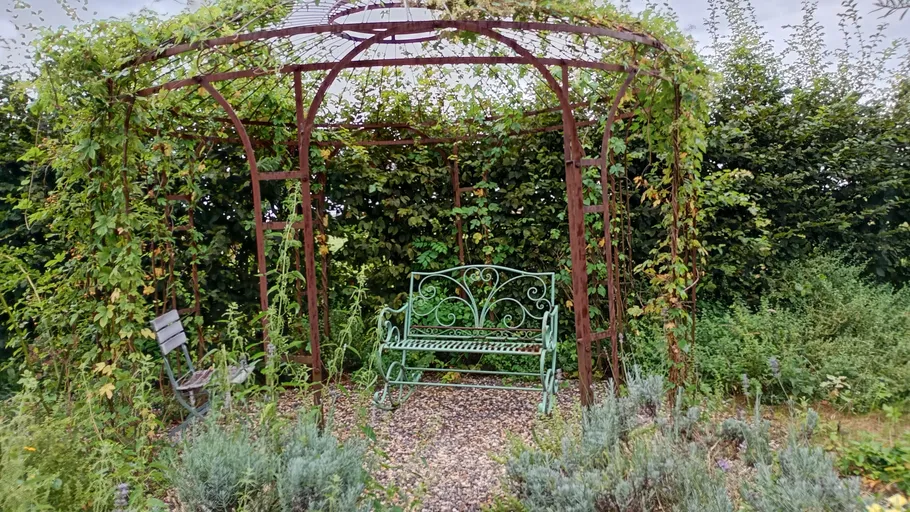 Metallpavillon mit Weinreben und einer Bank.