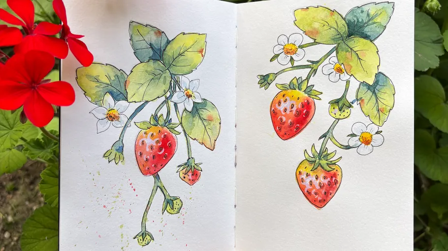 Erdbeer-Aquarellskizzen im offenen Notizbuch draußen.