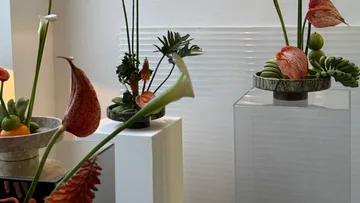 Elegante Blumenarrangements auf modernen Sockeln innen.