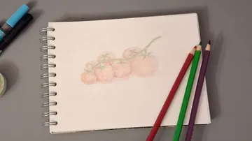 Zeichnung von Tomaten mit Buntstiften daneben.