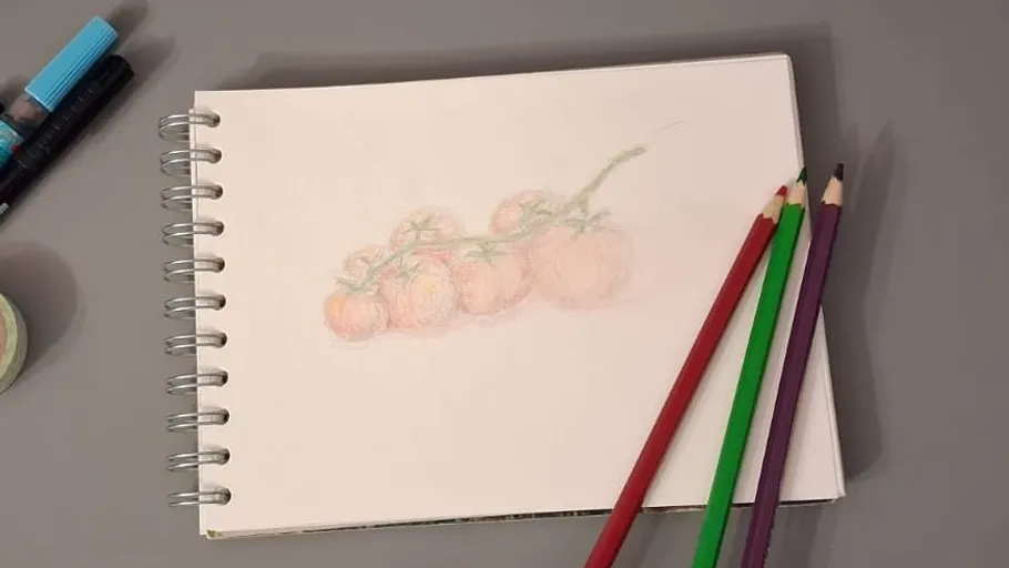 Drawing of tomatoes with colored pencils nearby.