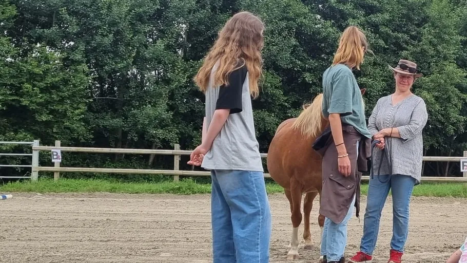Drei Personen mit einem Pferd auf einem Paddock.