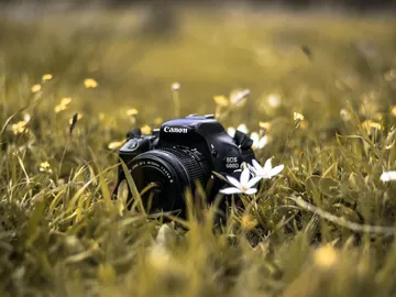 Camera lies in the grass between flowers in nature.