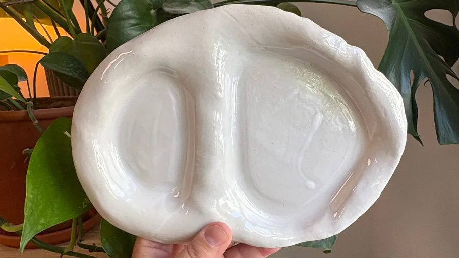 White ceramic plate held in hand, plant background.