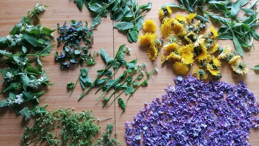 Colorful flowers arranged on wooden surface.