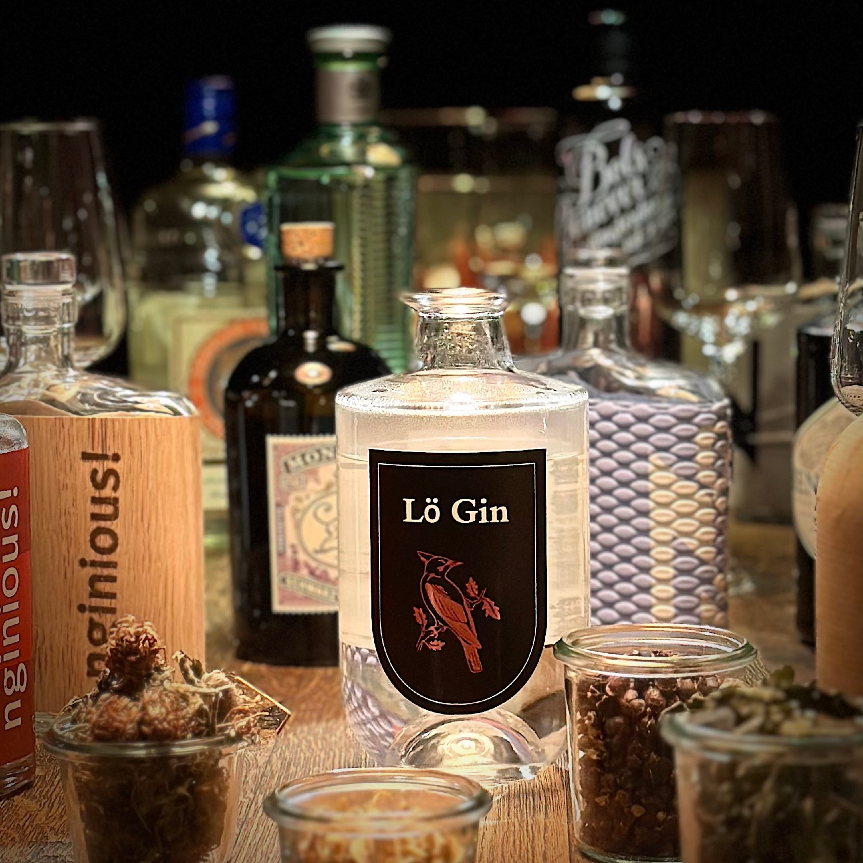 Gin Tasting in Lörrach: Verschiedene Gins entdecken