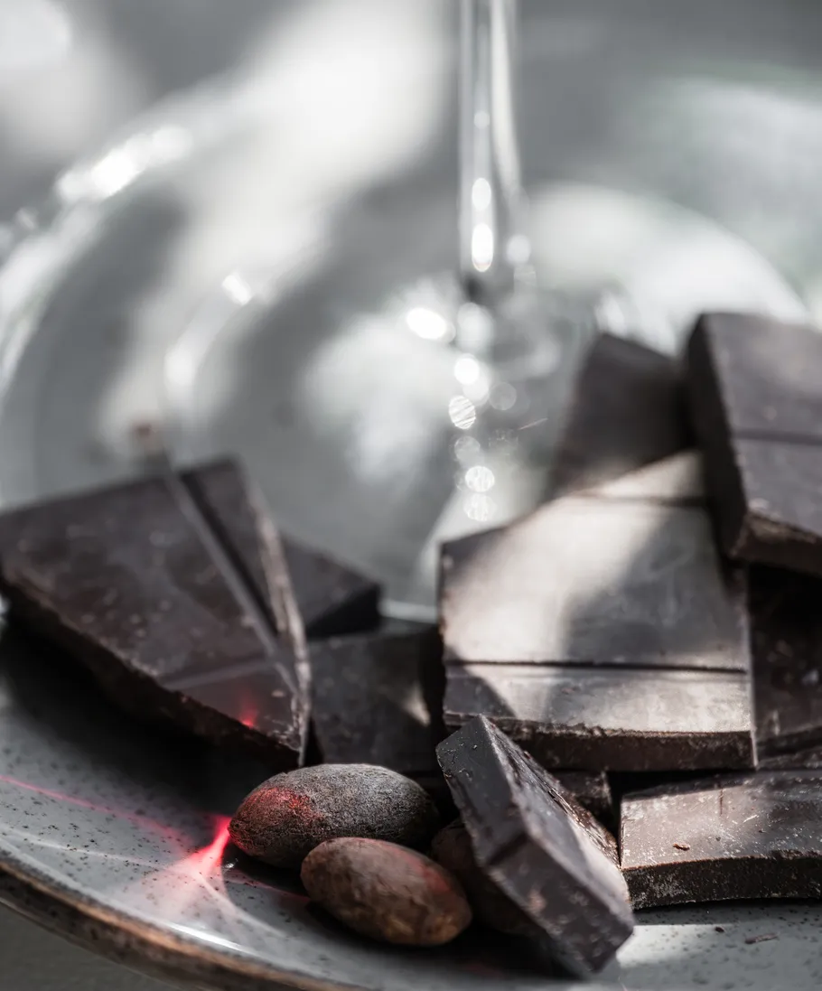 Dark chocolate pieces and cocoa beans on plate.