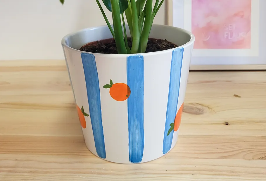Pflanze in gestreiftem Topf mit Orangenmuster.
