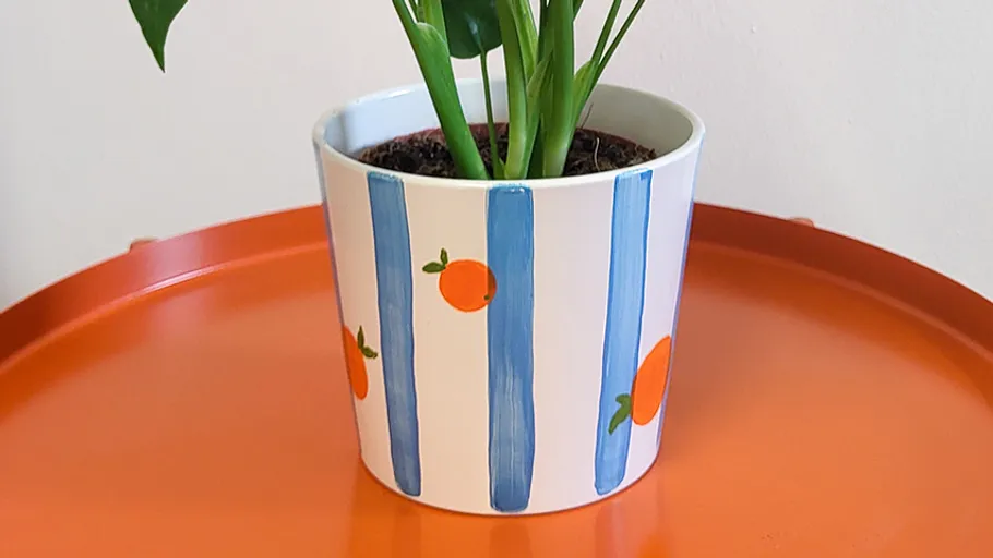 Pflanze in bemaltem Topf auf orangem Tisch.