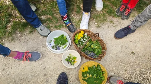 Kräuterwanderung Weidenstetten: Essbare Pflanzen im Sommer