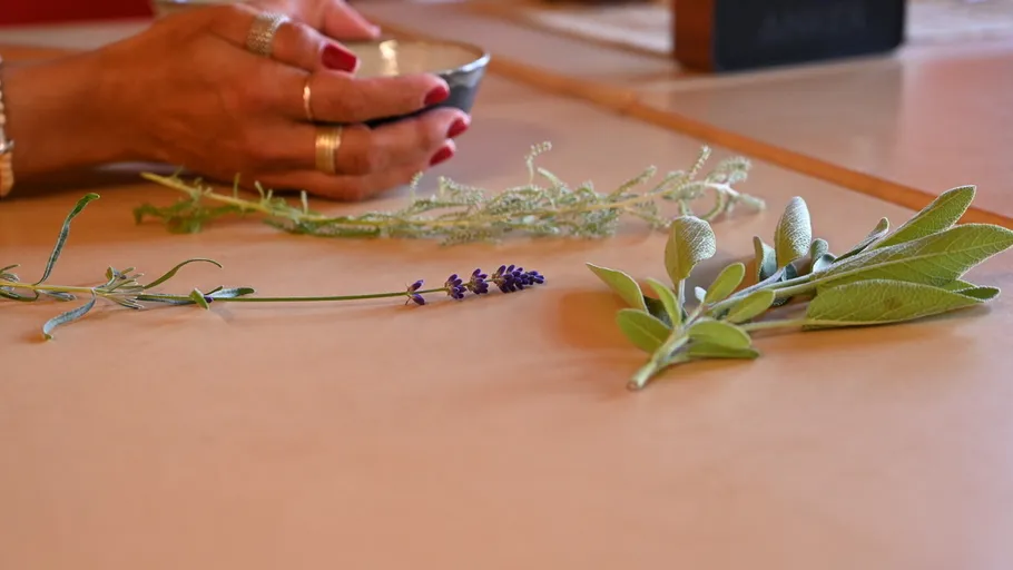 Hands holding cup near herbs on table.