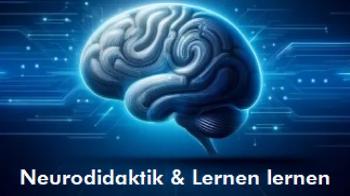 Brain illustration with a technological background.