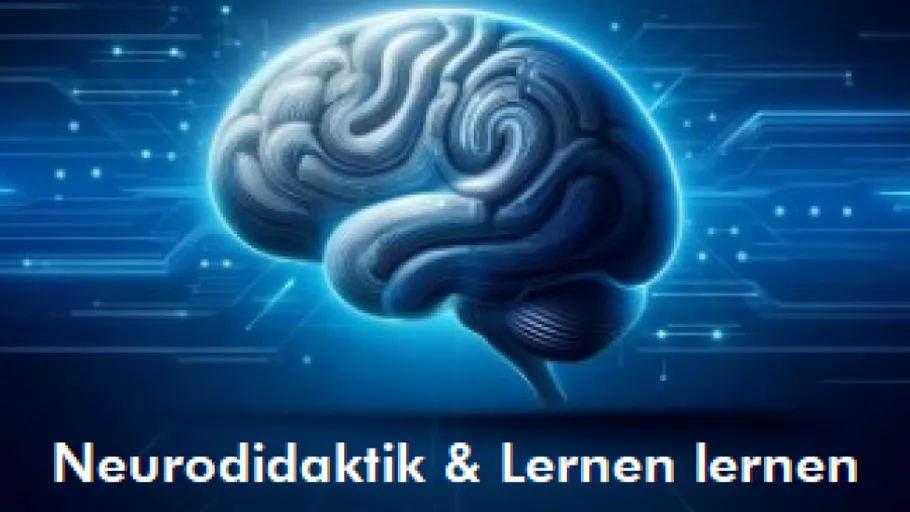 Brain illustration with a technological background.