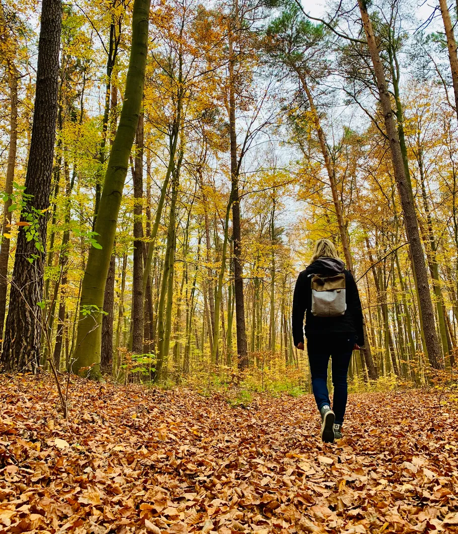 Person geht durch Herbstwald mit Laub auf dem Boden.