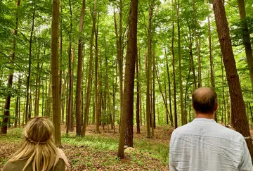 Zwei Personen betrachten hohe Wald Bäume.