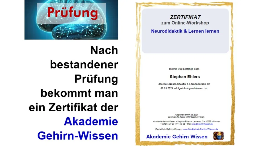 Certificate and brain with exam text.