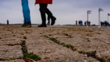 People walk along a rocky path by the sea.