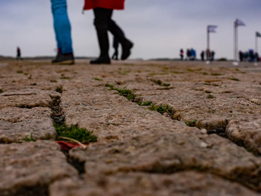 Menschen gehen auf einem gepflasterten Weg mit Gras.