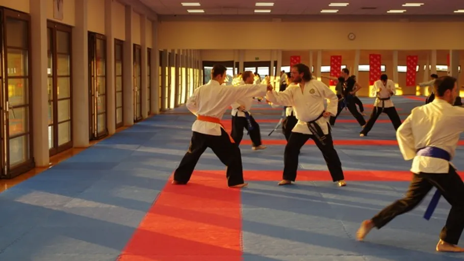 People practicing martial arts in a gym.