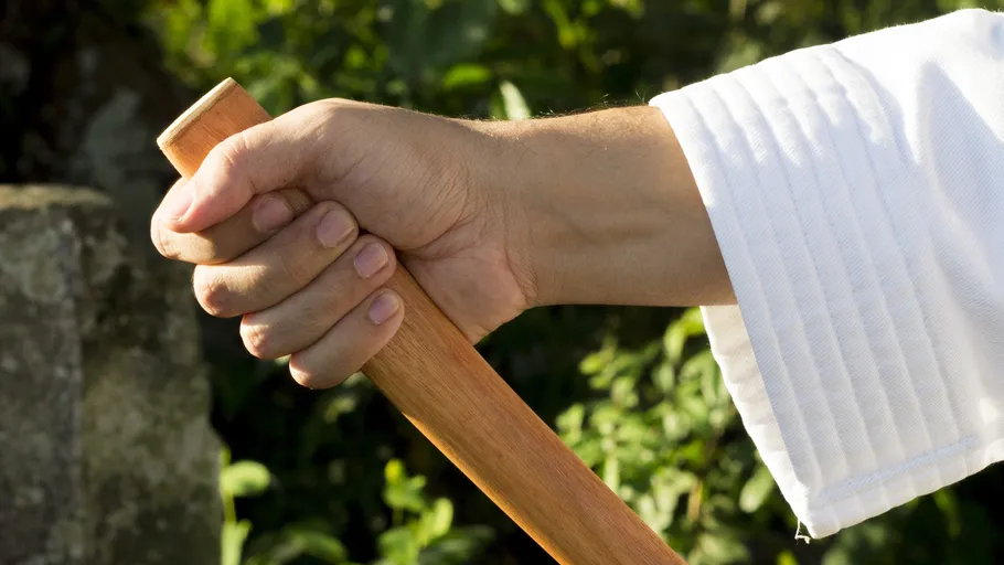 Hand holding wooden stick outdoors.