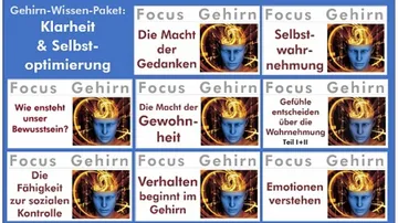 Gehirnbezogene Titel betonen Gedanken und Selbstoptimierung.