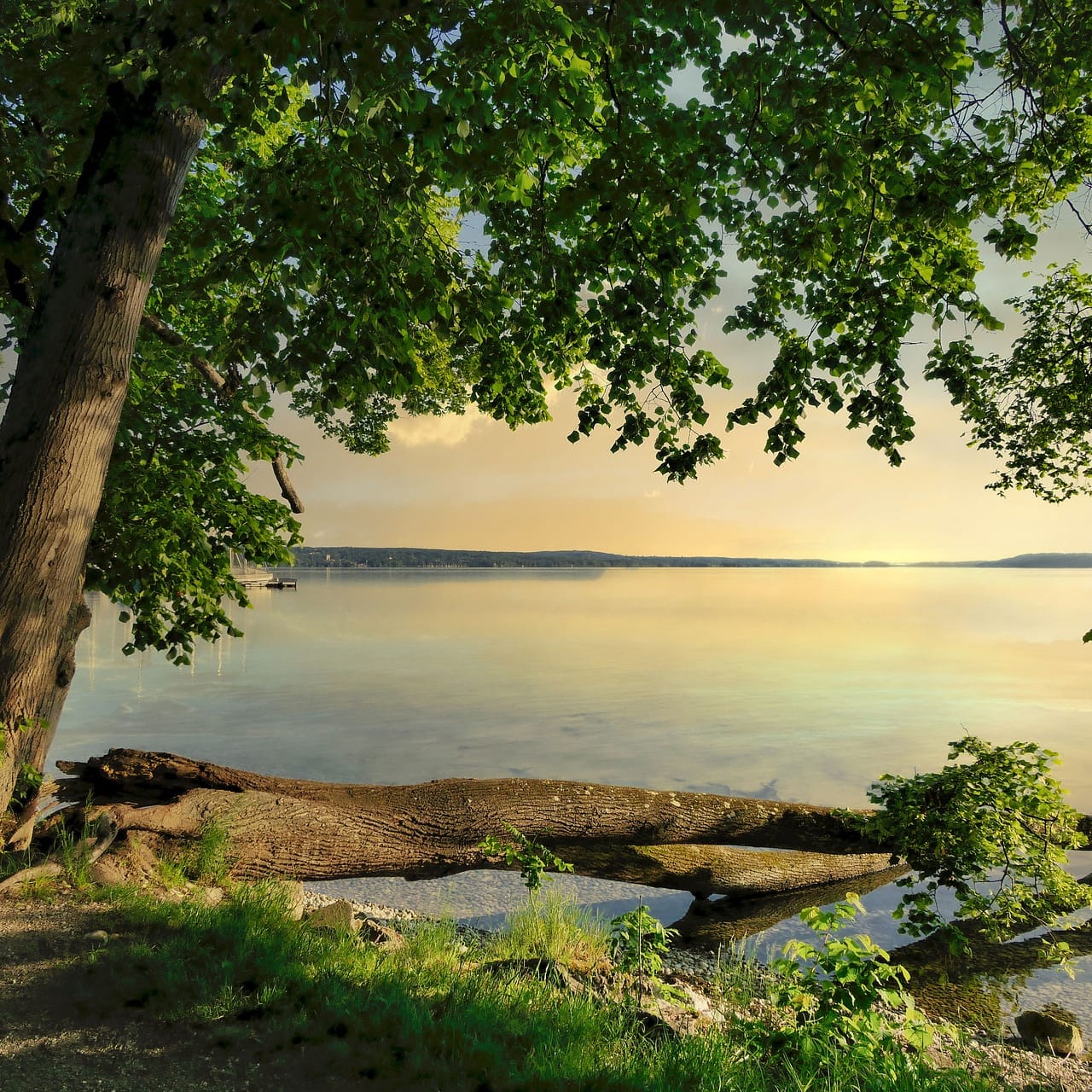 Fotowalk in Starnberg: Deine Stadt fotografisch erkunden