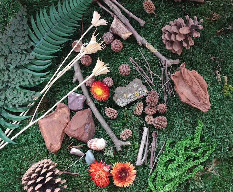 Natural objects arranged on green grass.