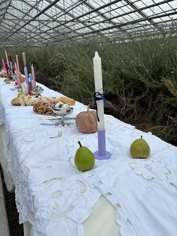 Long table with candles in a greenhouse.