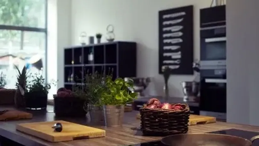 Modern kitchen with herbs on wooden countertop.