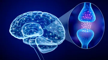 Digitales Gehirn mit Synapse Nahaufnahme.