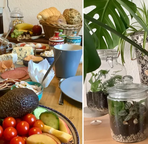Breakfast spread and terrariums in a room.