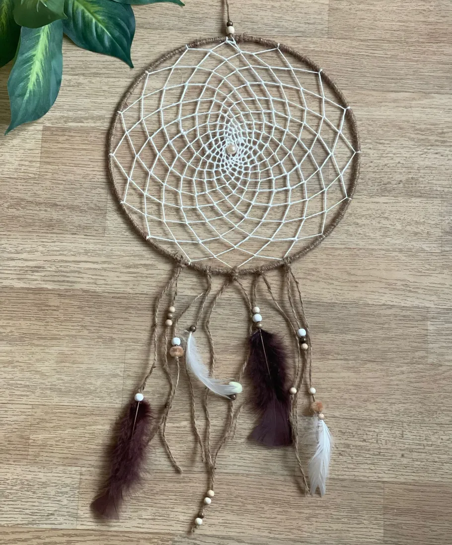Dreamcatcher hanging on wooden wall, plant nearby.