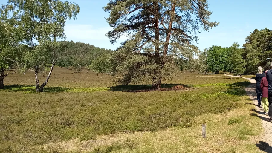 Menschen gehen auf Weg durch grasiges Feld.
