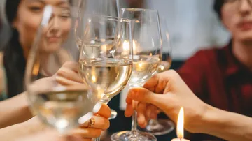 Group toasting with wine glasses indoors.