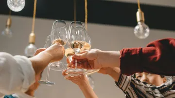 People toasting wine glasses indoors.